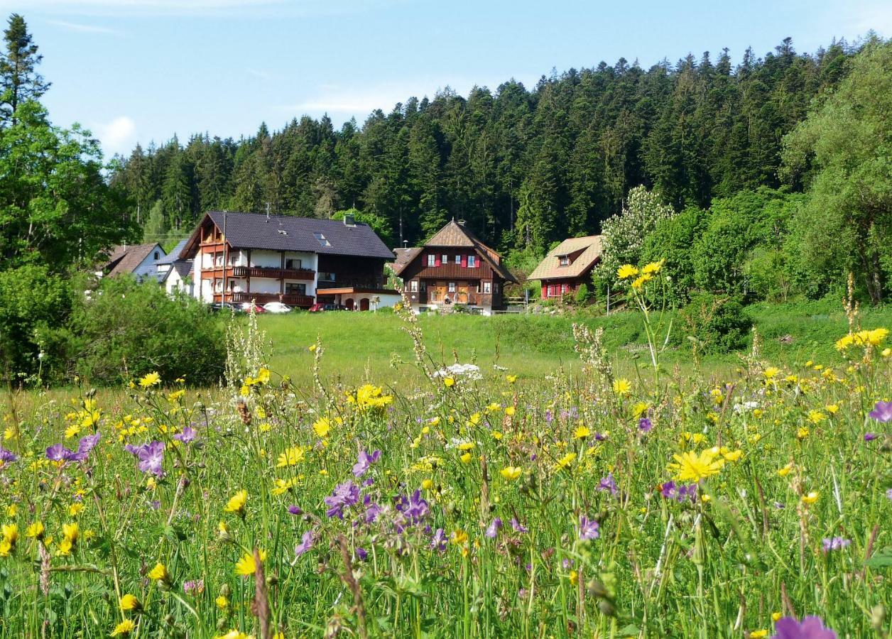 Landhaus Anja Фройденщат Екстериор снимка
